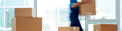 Featured Box Image